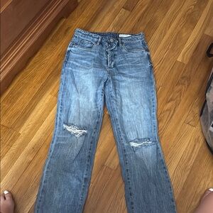 Blank NYC Blue Flare Wide Leg Jeans
